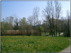 foto Oasi San Daniele